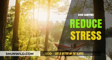 Unplug and Unwind: How Camping Naturally Reduces Stress Levels