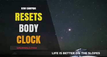 Camping Under the Stars: Resetting Your Body Clock Naturally