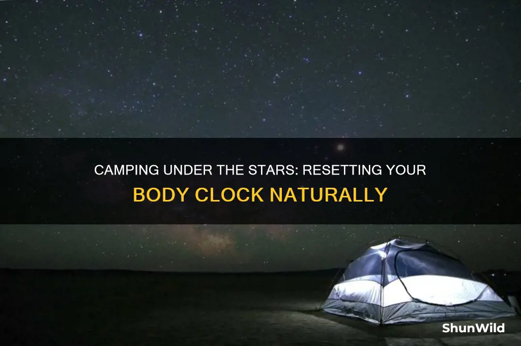 how camping resets body clock