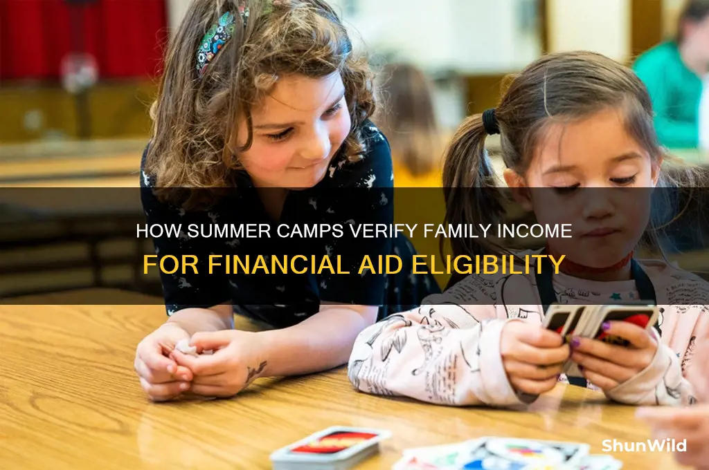 how camps cheking your income