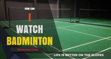 Enjoy Badminton: A Spectator's Guide