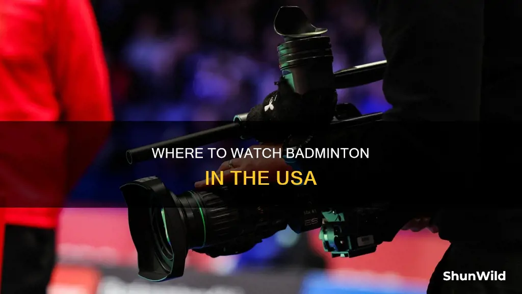 how can you watch badminton games in usa