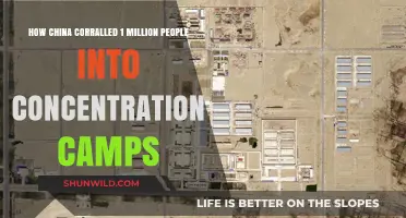 China's Mass Detention: The Hidden Reality of Uyghur Concentration Camps