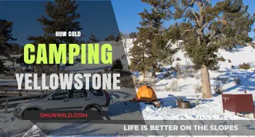 Surviving Yellowstone's Chilling Nights: Essential Cold Camping Tips
