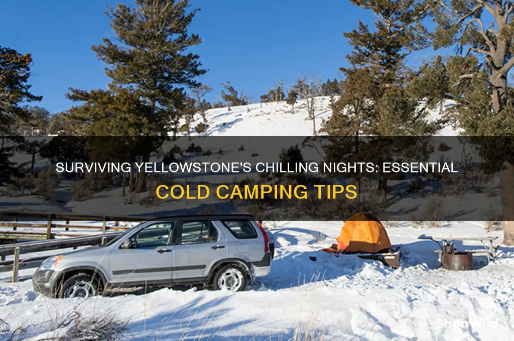how cold camping yellowstone