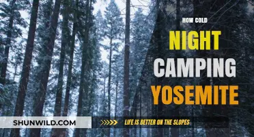 Chilling Nights in Yosemite: Essential Tips for Cold-Weather Camping
