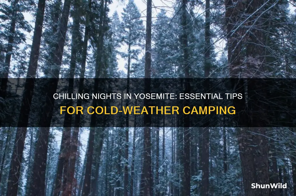 how cold night camping yosemite