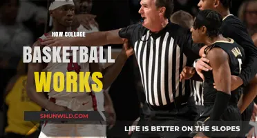 Understanding the Intricacies of College Basketball