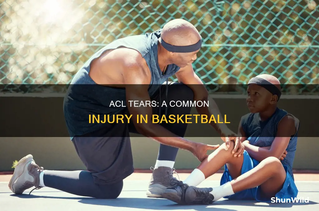 how common are acl tears in basketball