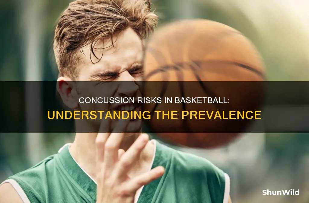 how common are concussions in basketball