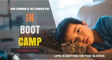 Stomach Bug in Boot Camp: Frequency, Prevention, and Survival Tips