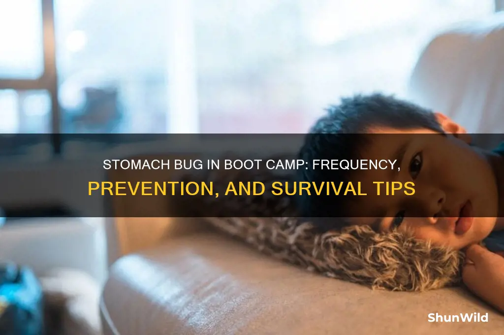 how common is the stomach bug in boot camp