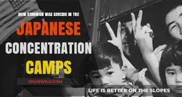 Suicide in Japanese Concentration Camps: Uncovering a Dark Historical Reality