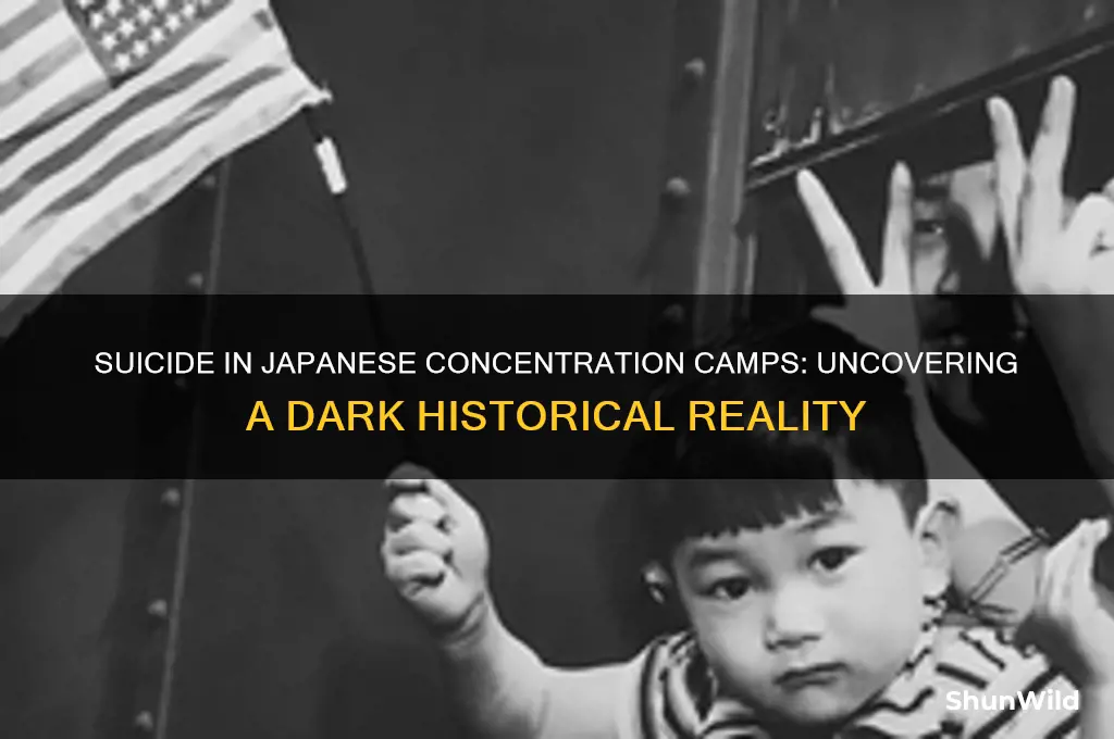 how common was suicide in the japanese concentration camps