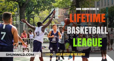 Lifetime Basketball League: Fierce Competition