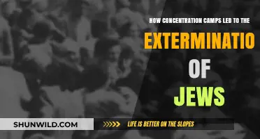 From Camps to Genocide: The Systematic Extermination of Jews