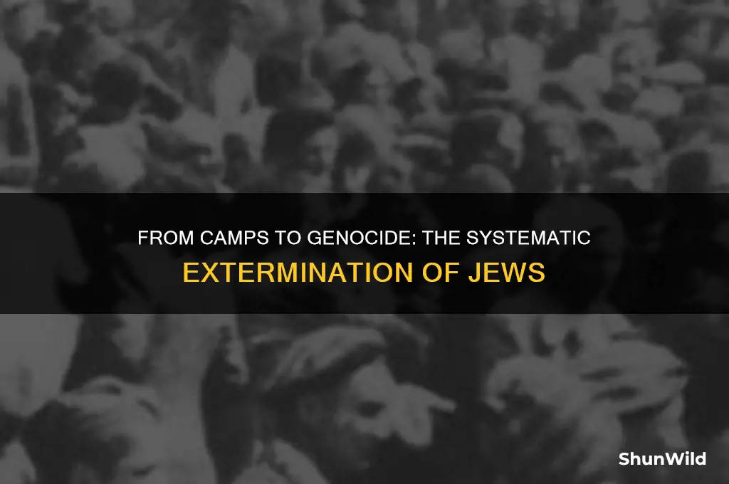 how concentration camps led to the extermination of jews