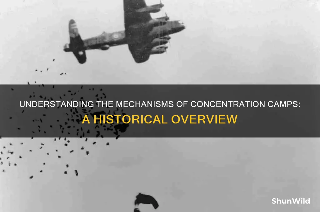 how concentration camps work