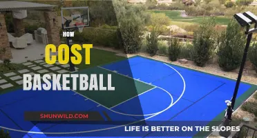 The Cost of Basketball: Expensive Equipment, Affordable Fun