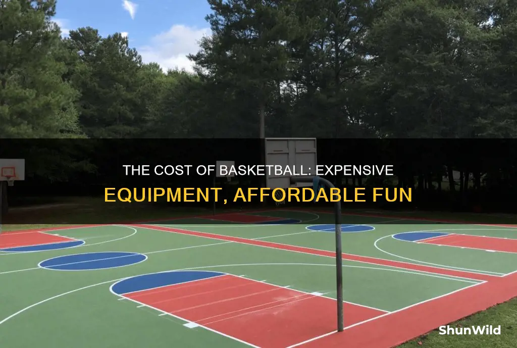 how cost basketball