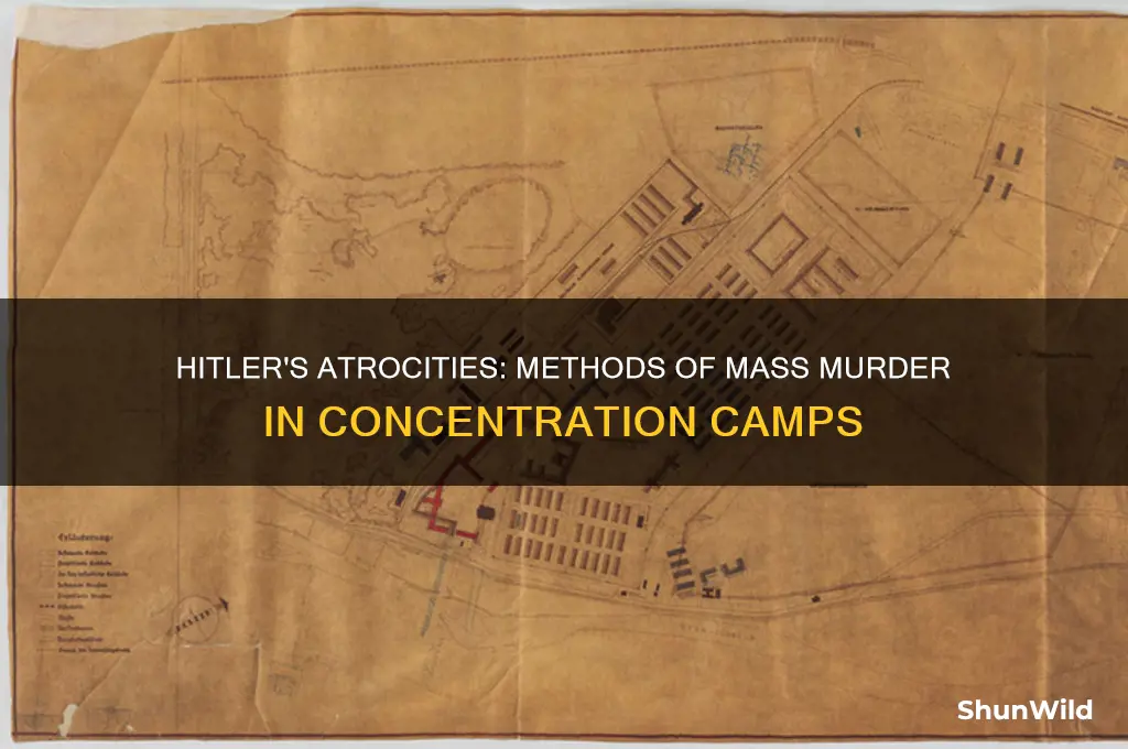 how could hilter kill at the concentration camps