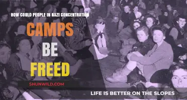 Liberation from Nazi Camps: Strategies and Allied Efforts Explained