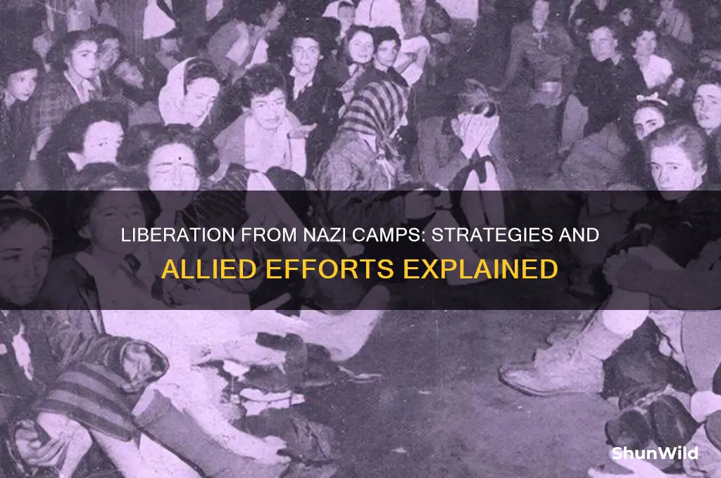 how could people in nazi concentration camps be freed