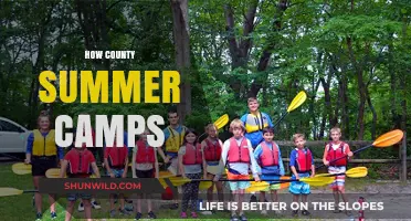 Discover Fun and Learning at County Summer Camps for Kids