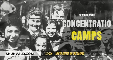 Overcrowded Concentration Camps: A Grim Reality of Human Suffering