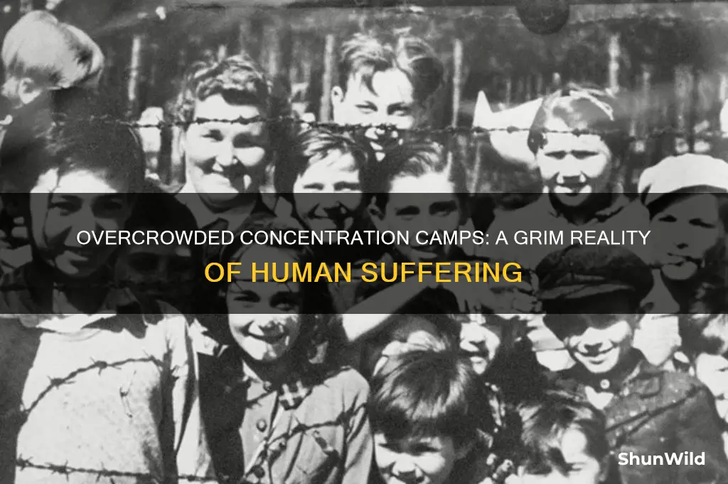 how crowded concentration camps
