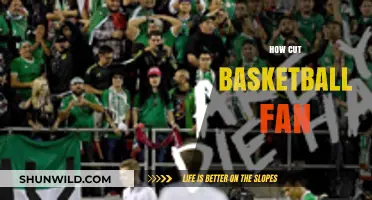 The Ultimate Guide to Being a Cut-throat Basketball Fan