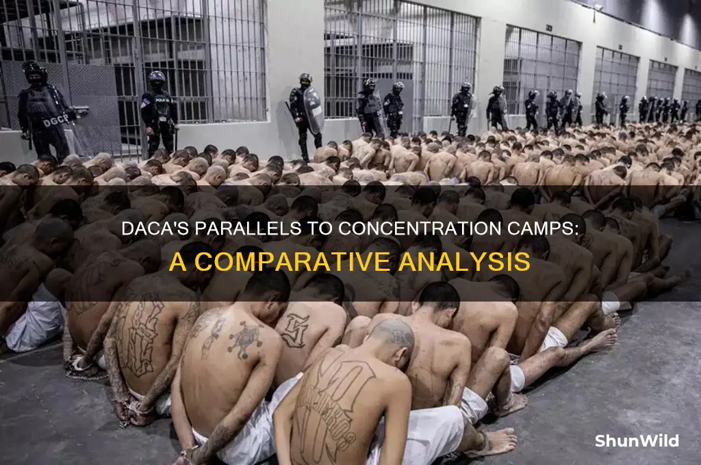 how daca is similar to concentration camps