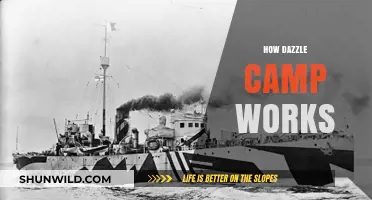 Unveiling Dazzle Camp: A Comprehensive Guide to Its Unique Process