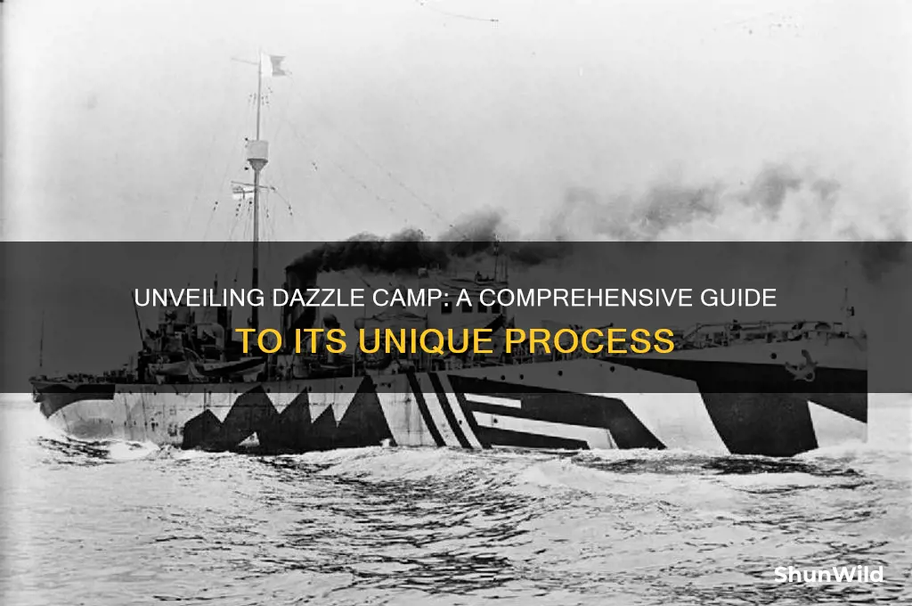how dazzle camp works