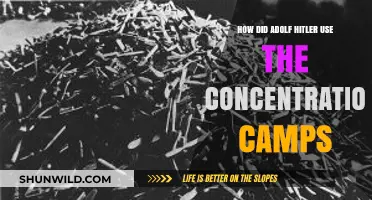 Hitler's Concentration Camps: Tools of Terror and Genocide Explained