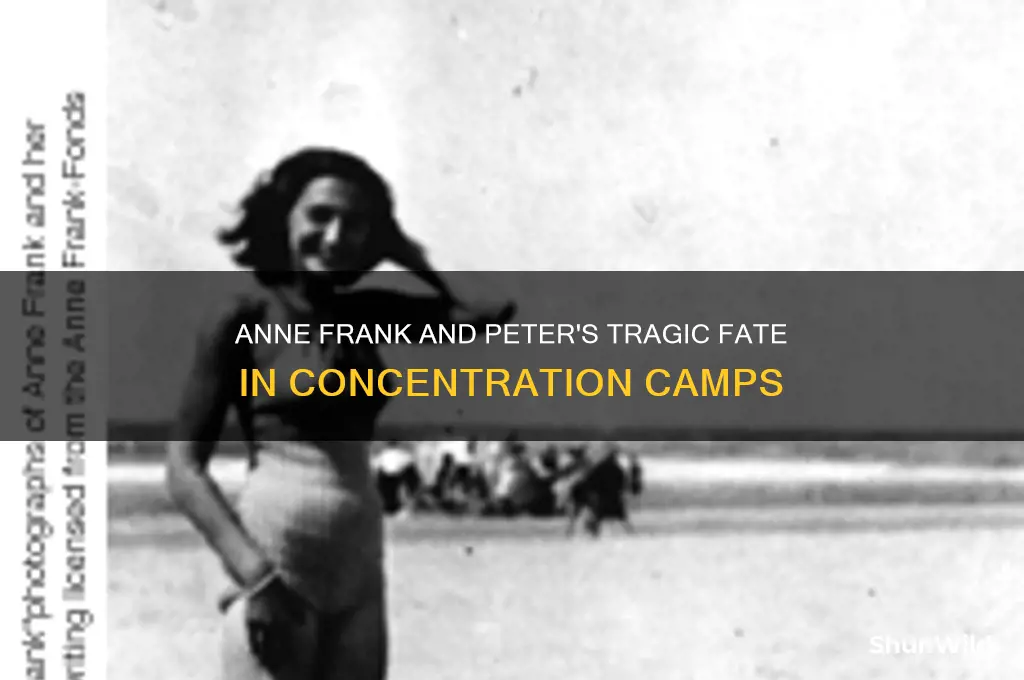 how did anne frank peter in the concentration camp