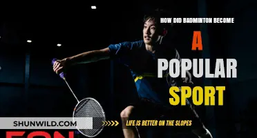 Badminton's Rise: A Sport's Global Journey