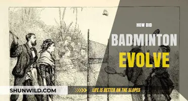 Badminton's Evolution: From Ancient Greece to Modern Racket Sport