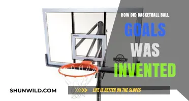 The Evolution of Basketball Goals