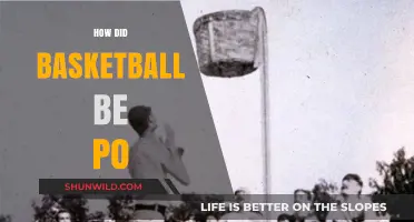 Basketball's Evolution: From Pastime to Global Phenomenon