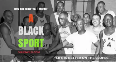 Basketball's Black History: A Cultural Evolution