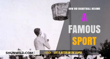 The Rise of Basketball: A Global Sensation