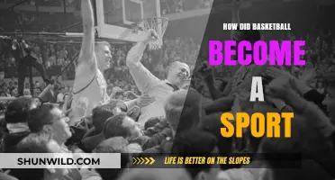 The Evolution of Basketball: From Pastime to Sport