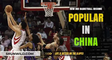 Basketball's Rise in China: A Cultural Revolution