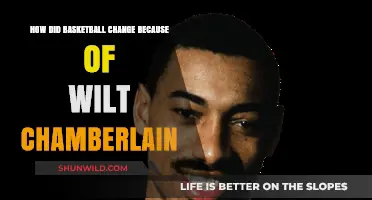 The Wilt Effect: How Basketball Changed Forever