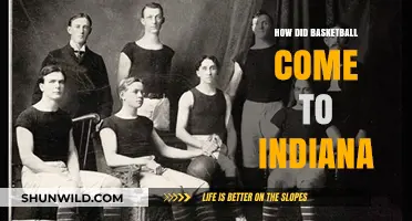 The Hoosier State's Basketball History: Origins and Influence