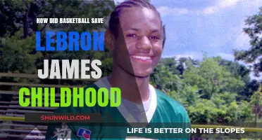 Basketball: Lebron's Escape and Salvation