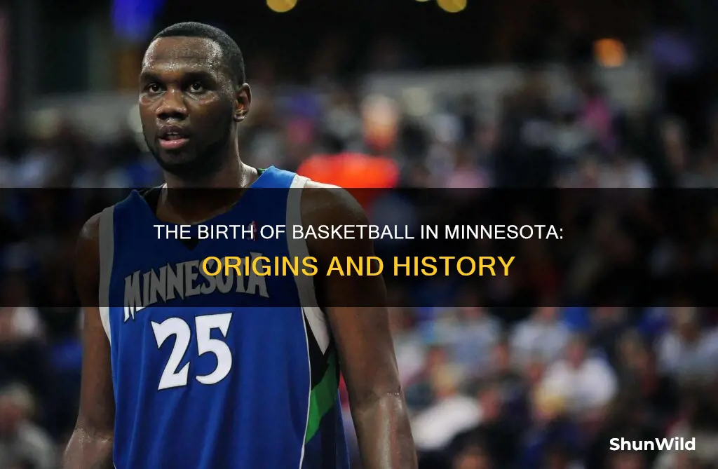 how did basketball start in mn
