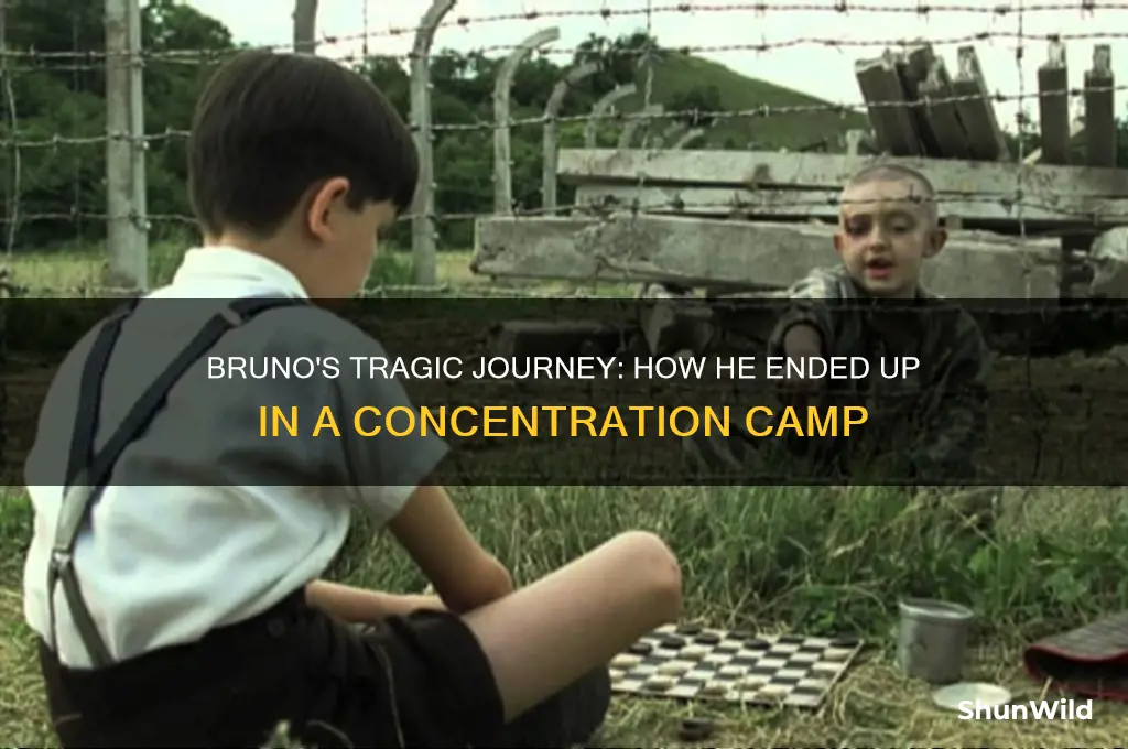 how did bruno get into the concentration camp