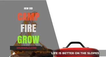How the Camp Fire Grew: Unraveling the Devastating Wildfire's Rapid Expansion
